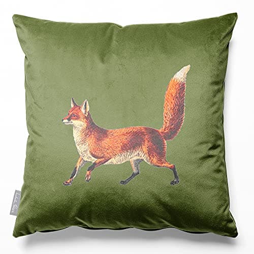 Image of Izabela Peters Eco-Friendly Velvet Cushions With Covers, Filled, 40 cm, Fox - Sage, for Chair, Sofa, Seat, Large