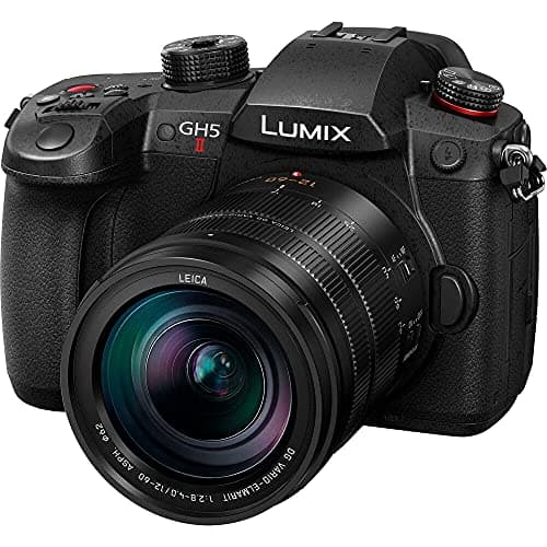 Image of Panasonic LUMIX GH5M2 Mirrorless Camera with wireless live streaming and a LEICA 12-60mm F2.8-4.0 lens - Black