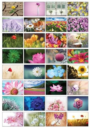 Image of the lazy panda card company Nature Selection Postcards: 32 Different Postcards with different Natural Themes (Beautiful Flowers)