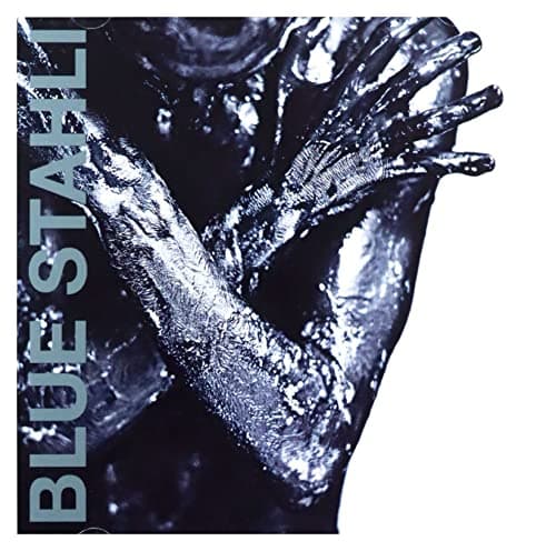 Image of Blue Stahli