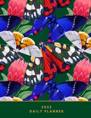 Image of 2022 Daily Planner: Butterflies & Protea's Green Dated Daily Weekly Monthly Planner Agenda Organizer January 2022 - December 2022