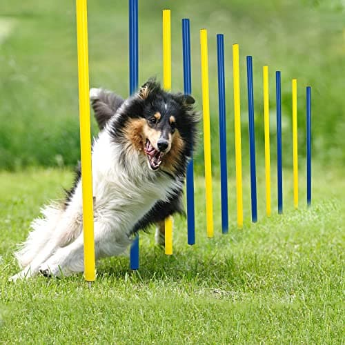 Image of pet prime Outdoor Dog Obstacle Agility Training Exercise Equipment Kit With Carrying Bag Pet Play Run Obedience Training Set Adjustable - 12PCS Weave Pole Set