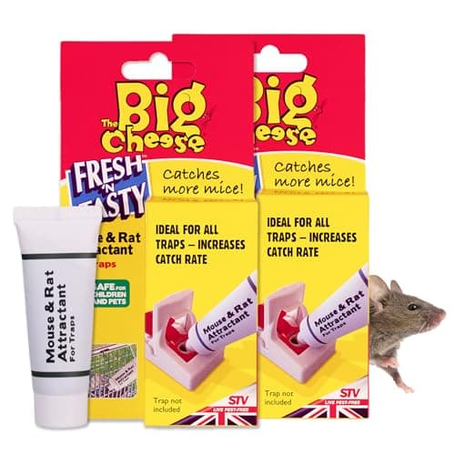 Image of The Big Cheese Fresh 'N Tasty Mouse & Rat Attractant - Hazard-Free Rat Trap, Pet & Child Safe Rat Bait for All Mouse Traps - Prune-Based Formula - Baits Up to 60 Traps, 26g Tube Multi Packx2