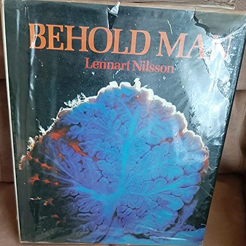Image of Behold Man