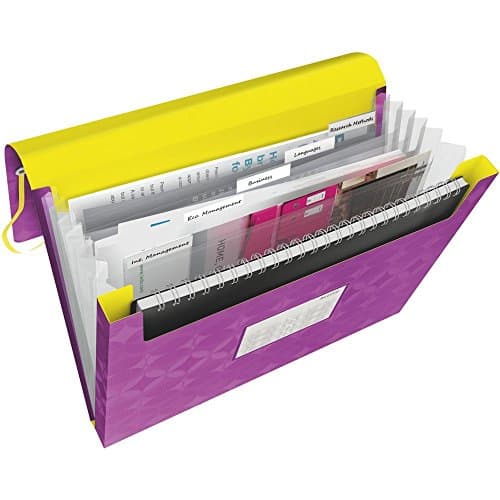 Image of Leitz A4 Expanding File with 5 Compartments, Elastic Band Fastener, Violet/Yellow, Retro Chic Range, 45190065