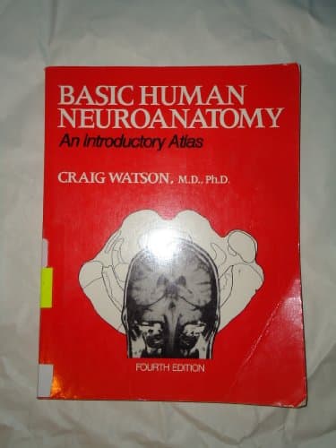 Image of Basic Human Neuroanatomy