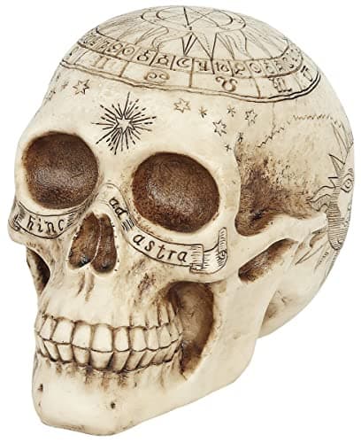 Image of Nemesis Now Astrological Skull Figurine 29cm Ivory