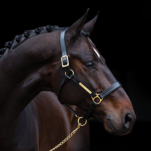 Image of AMIGO Padded Leather Pony/Horse Headcollar: Brown: Pony