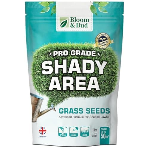 Image of Shady Area Grass Seed – 1kg Lawn Seed Mixture for Partial to Full Shade, Overseeding, Patch Repair & New Lawns, Perennial Ryegrass, Red Fescue & Meadow Grass Blend, Covers up to 50m²