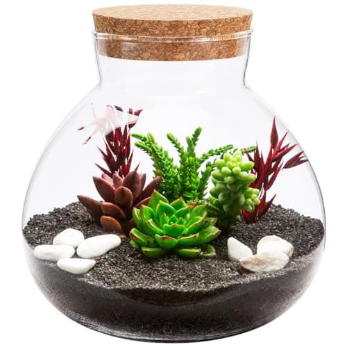 Image of Toddmomy Glass Terrarium Jar with Cork Lid, Round Plant Display Cloche for Moss & Succulents, DIY Miniature Desktop Garden, Closed Ecosystem Bottle for Home Office Decor, Large Vase (No Plants)