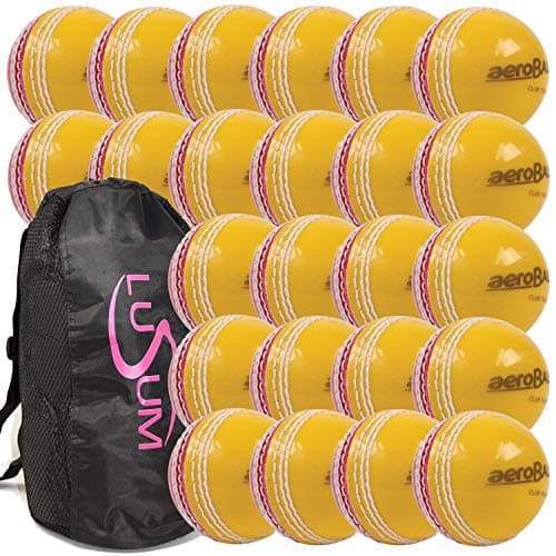 Image of Big Game Hunters 24 x Aero Incrediball Safety Cricket Balls Including a Lusum Bag (Red/Yellow Trainer, Youth)