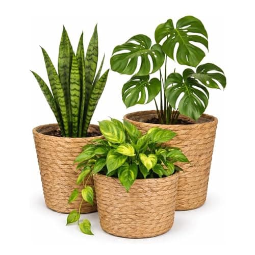Image of GreenWhim 3 Pcs Seagrass Woven Plant Pot with Waterproof Liner Natural Basket Planters for Indoor Plants Rustic Home Décor Foldable and Durable for Living Room Bedroom