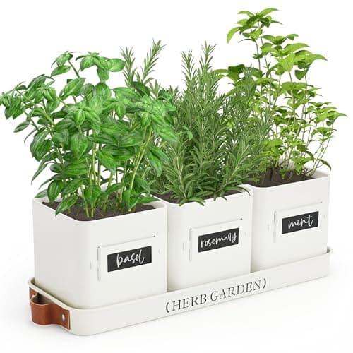 Image of PERFNIQUE Indoor Herb Garden Planter Set With Tray, Farmhouse Plant Pots, Windowsill Planter With Drainage for Indoor/Outdoor, Window Pots (White)