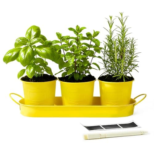 Image of DIVCHI Metal Herb Planter Pots Set of 3 with Tray & Chalk Labels – Indoor Herb Garden Kit for Kitchen Windowsill – Decorative Herb Pots for Basil, Mint, Rosemary – Indoor & Outdoor Use (Yellow)