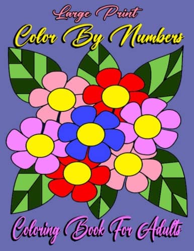 Image of Large Print Color By Numbers Coloring Book For Adults: Creative Haven Airplane, Kite, Birds, Flowers, Animals, Balloon, And Pretty Patterns Color By Number Books For Kids, Teens & Adults age 8-16+