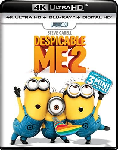 Image of Despicable Me 2 (4K Ultra HD + Blu-ray + Digital HD)