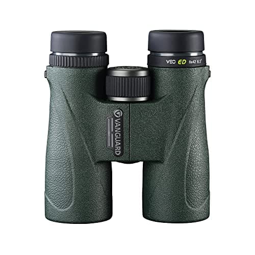Image of VANGUARD VEO ED 8x42 Lightweight Binoculars with ED Glass