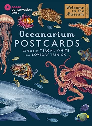 Image of Oceanarium Postcards (Welcome To The Museum)