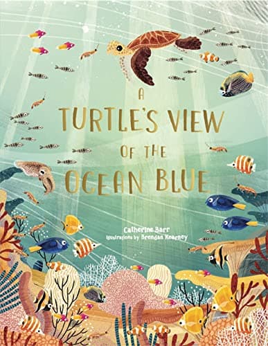 Image of A Turtle's View of the Ocean Blue
