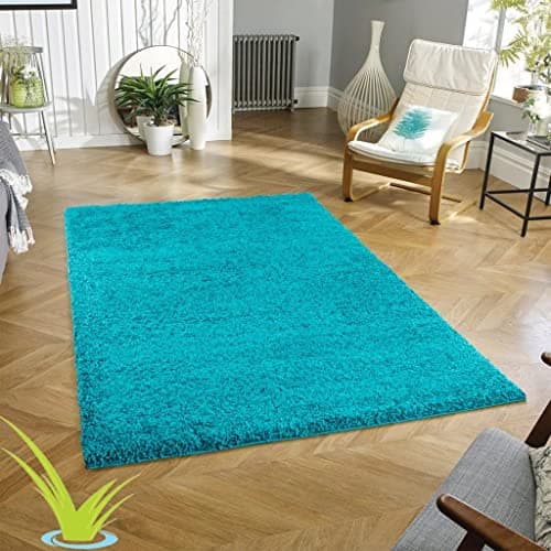 Image of Wadan 80x150cm Teal Blue Shaggy Rugs Living Room |5mm Thick Pile | Extra Large Small Medium | Rectangular Size | Soft Touch | Living Room Area Rugs | Non Shedding