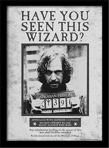 Image of Harry Potter Pyramid International (Sirius Wanted) 30 x 40cm Collector Print (Framed) 30cm x 40cm, One Size
