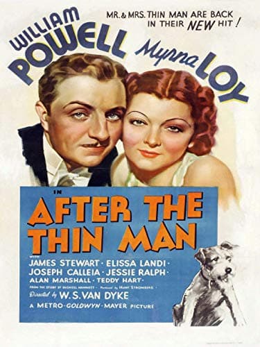 Image of After the Thin Man
