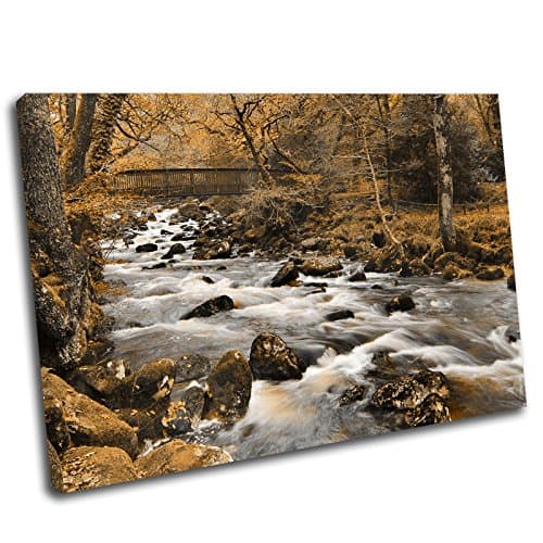 Image of Canvas Culture - Woodland Stream Landscape Canvas Art Print Box Framed Picture 40 Orange 90 x 60cm