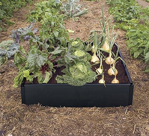 Image of Garland Black Raised Vegetable Grow Bed 97.5 x 97.5 x 25 Centimetre