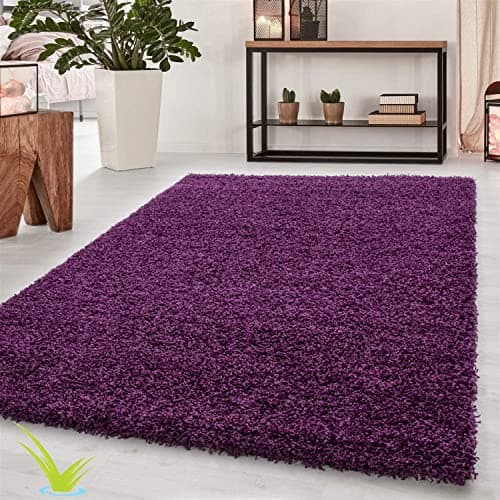 Image of Wadan 60x110cm Purple Shaggy Rugs Living Room |5mm Thick Pile | Extra Large Small Medium | Rectangular Size | Soft Touch | Living Room Area Rugs | Non Shedding