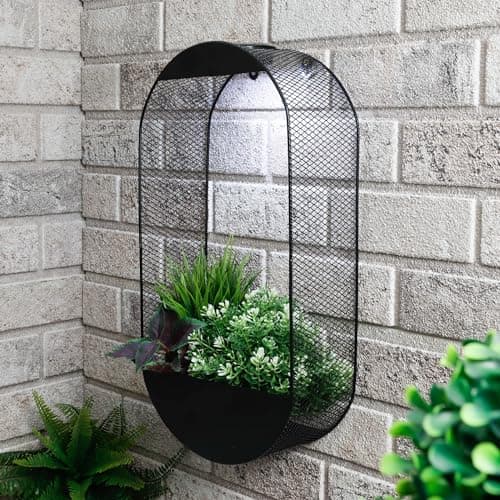 Image of Gardenwize - Solar Pwered Warm LED Real Flower Wall Planter Decorative Stylish Indoor & Outdoor Ceiling and Wall Planter with Recharable Solar Back-up For Home,Garden (Oval)