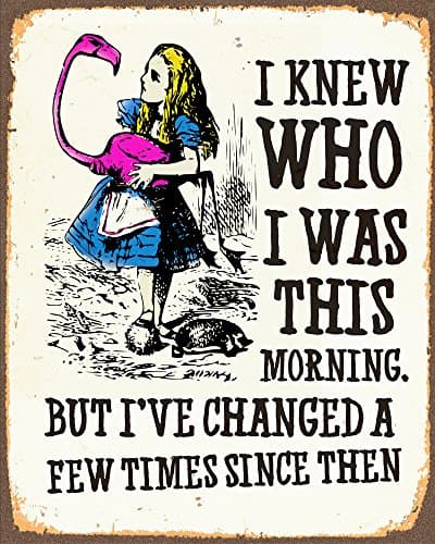 Image of Alice in Wonderland I've Changed Metal Sign 6x8inches Plaque Vintage Retro Poster Art Picture Print TN1033